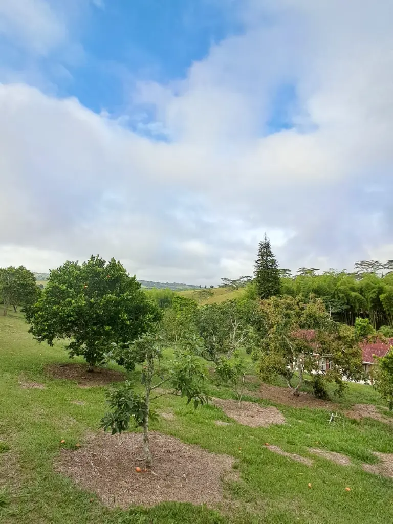 WhatsApp Image 2025-03-05 at 12.41.15 PM (1).webp