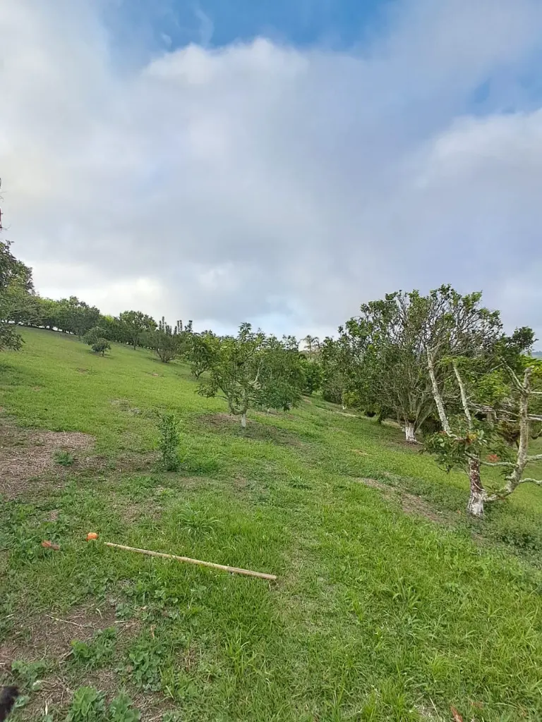 WhatsApp Image 2025-03-05 at 12.41.15 PM (3).webp