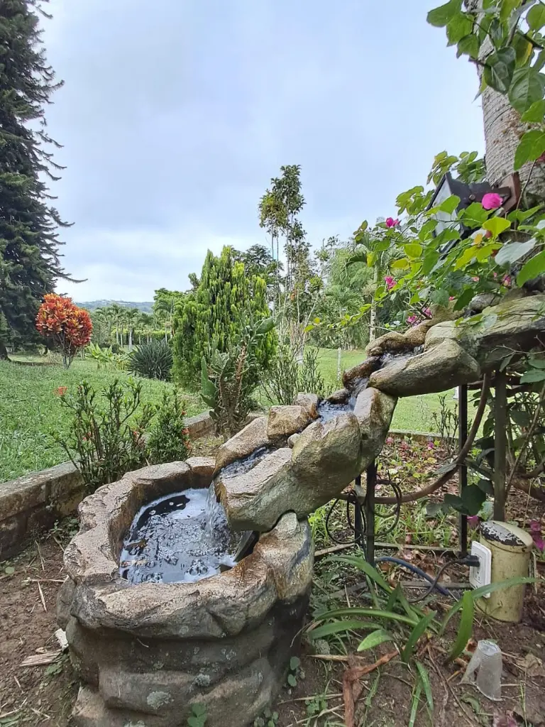 WhatsApp Image 2025-03-05 at 12.41.17 PM (1).webp