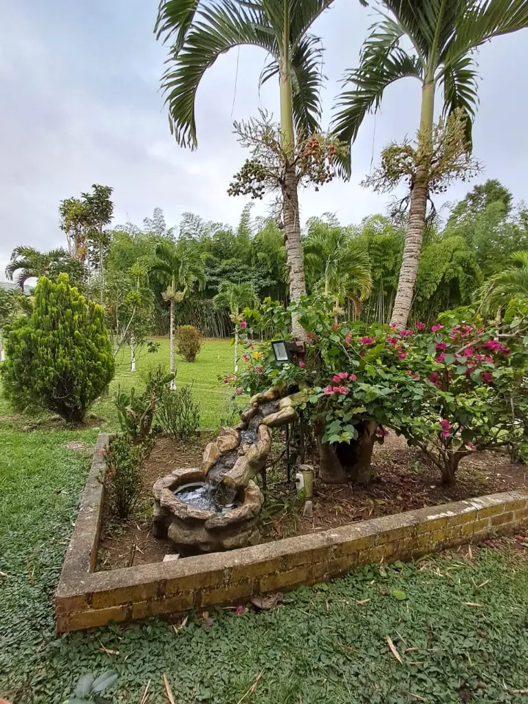 WhatsApp Image 2025-03-05 at 12.41.16 PM (1).webp