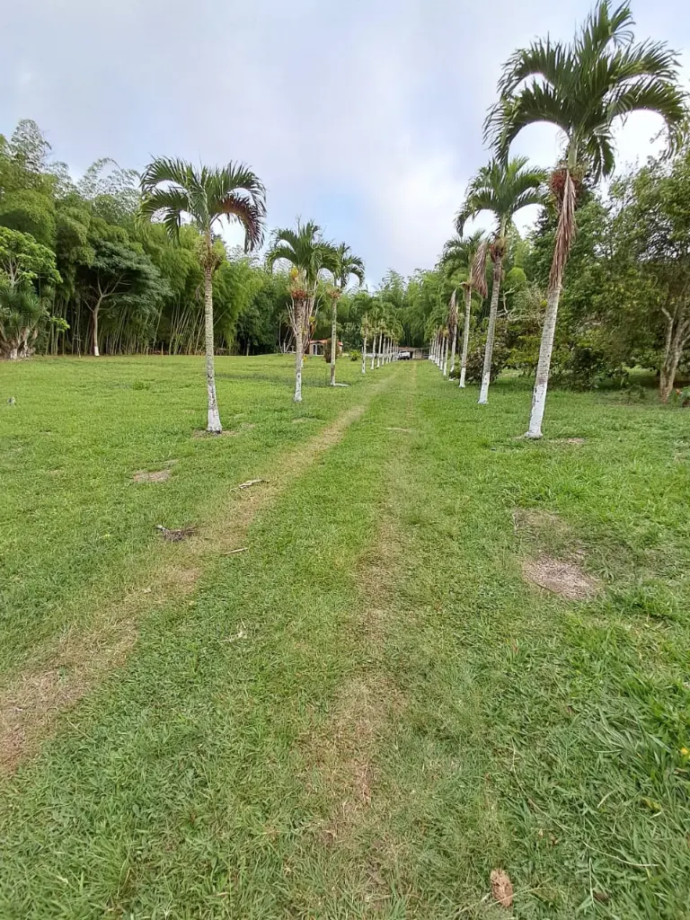 WhatsApp Image 2025-03-05 at 12.41.14 PM (2).webp