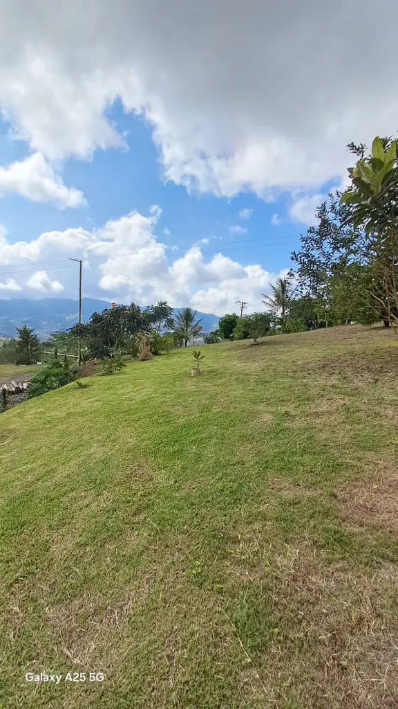 WhatsApp Image 2025-03-05 at 12.42.32 PM (2).webp