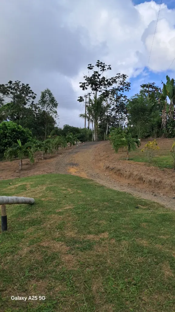 WhatsApp Image 2025-03-05 at 12.42.33 PM (1).webp