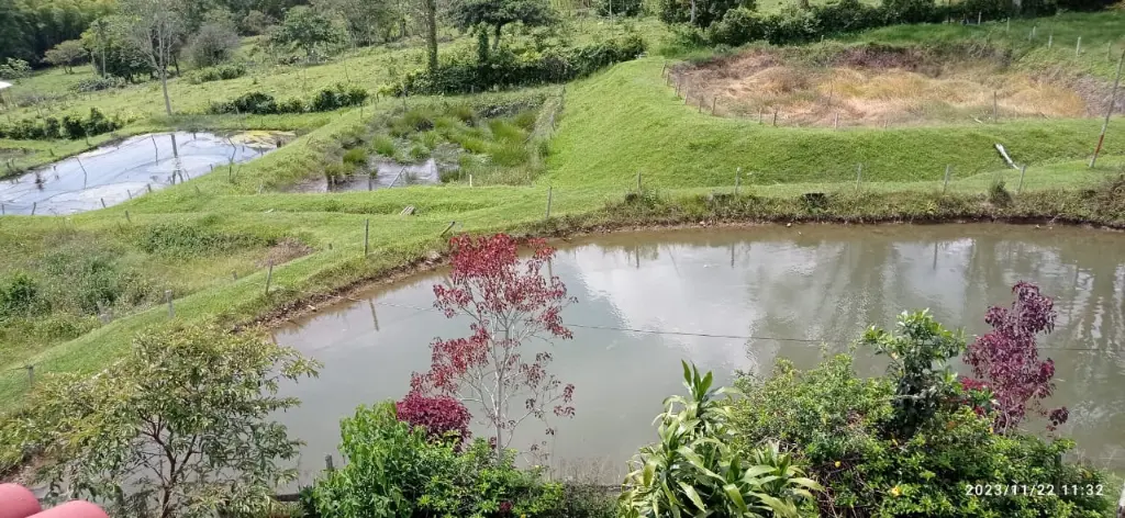 WhatsApp Image 2025-03-05 at 12.46.47 PM (1).webp