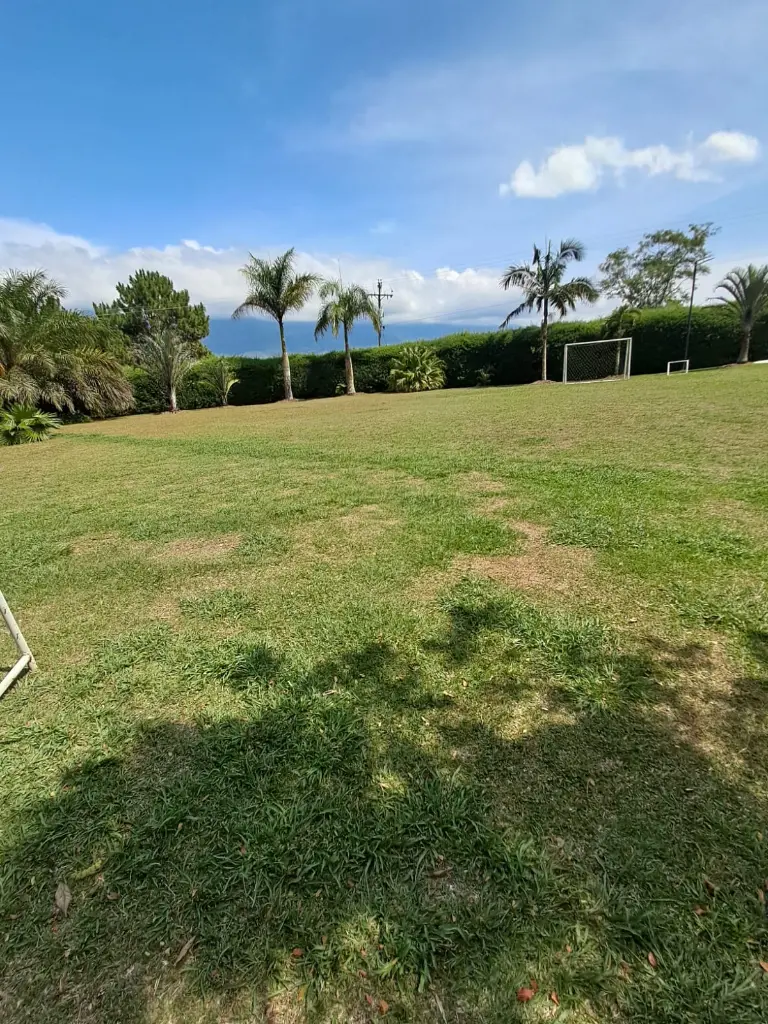 WhatsApp Image 2025-03-05 at 12.55.02 PM (2).webp