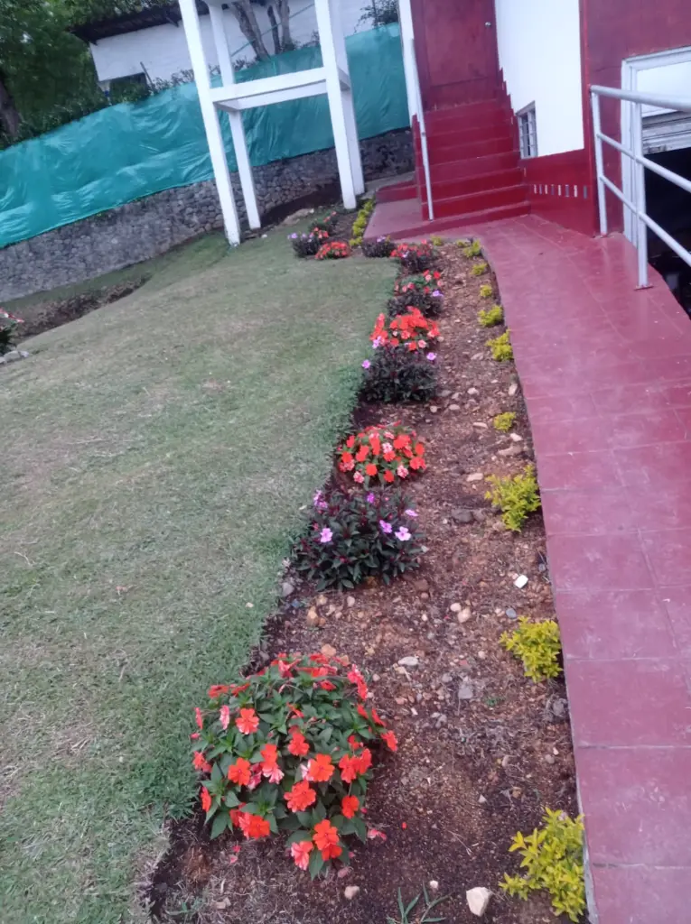 WhatsApp Image 2025-04-01 at 9.16.49 AM (2).webp