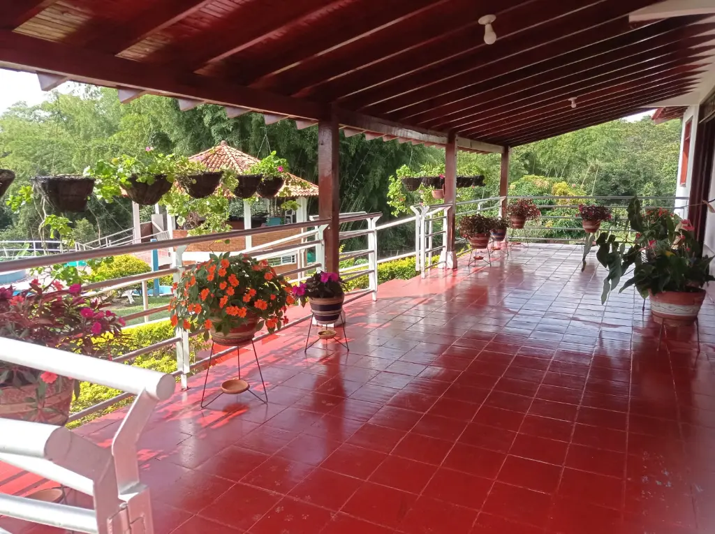 WhatsApp Image 2025-04-01 at 9.16.47 AM (1).webp