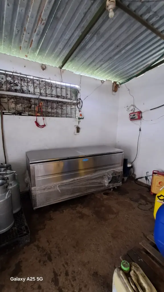 WhatsApp Image 2025-04-02 at 6.28.32 AM (1).webp