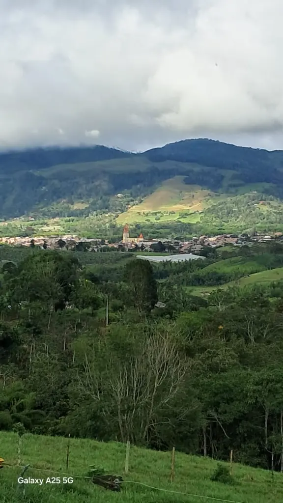 WhatsApp Image 2025-04-02 at 6.28.29 AM (2).webp