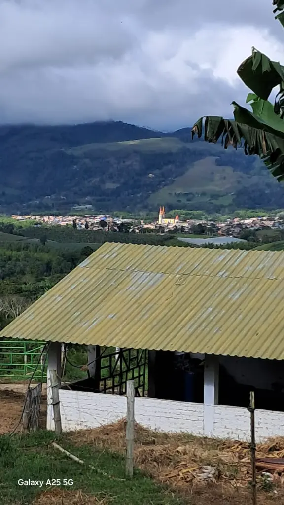 WhatsApp Image 2025-04-02 at 6.28.23 AM (4).webp