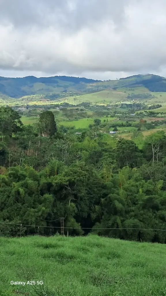 WhatsApp Image 2025-04-02 at 6.28.34 AM (2).webp