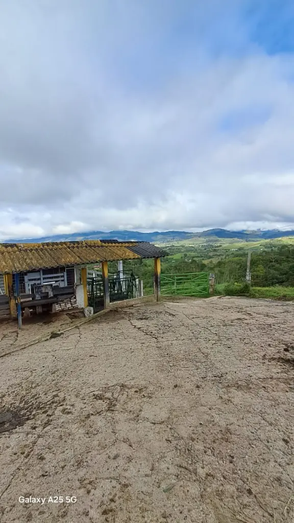 WhatsApp Image 2025-04-02 at 6.28.33 AM (3).webp