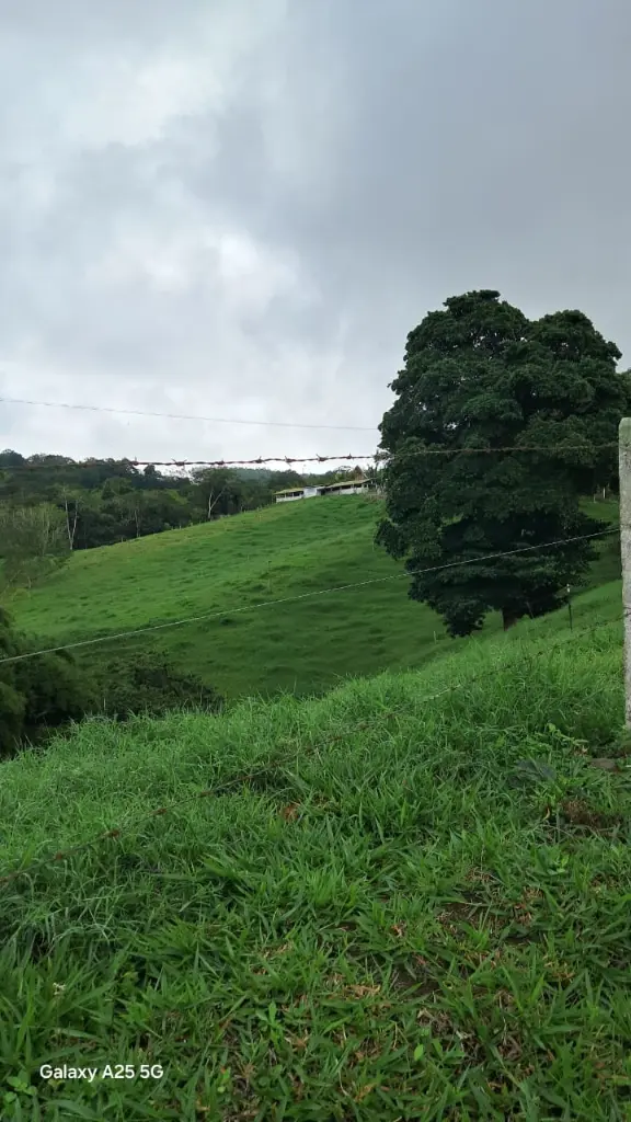 WhatsApp Image 2025-04-02 at 6.28.34 AM (3).webp