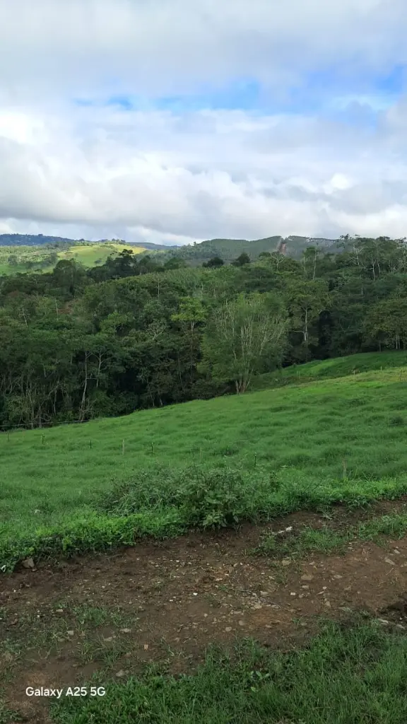 WhatsApp Image 2025-04-02 at 6.28.34 AM (1).webp