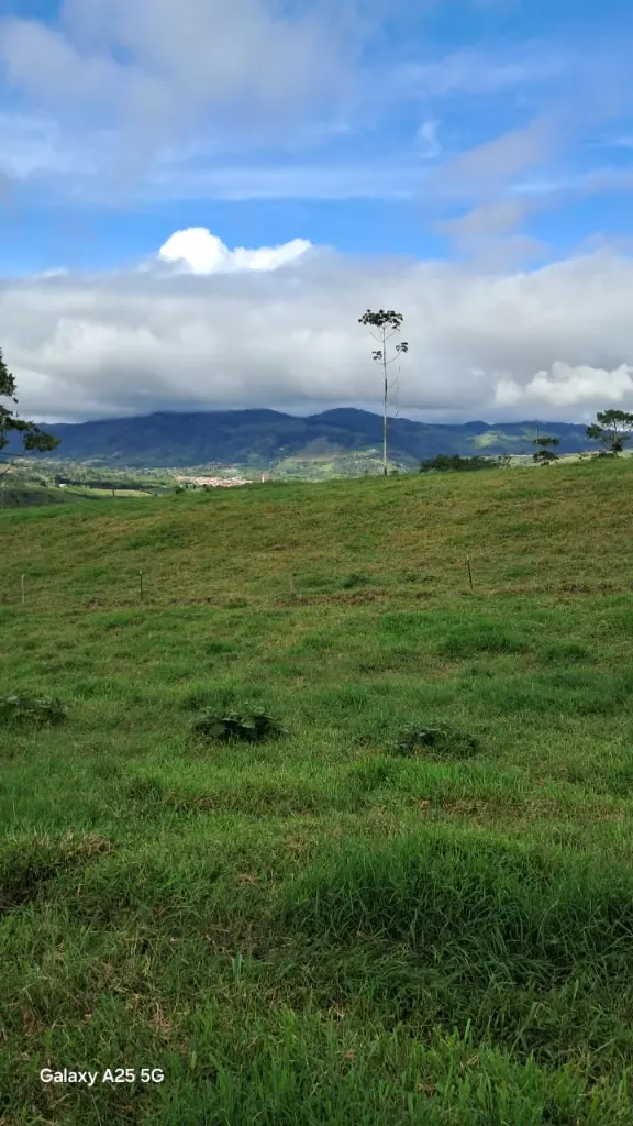 WhatsApp Image 2025-04-02 at 6.28.28 AM (4).webp