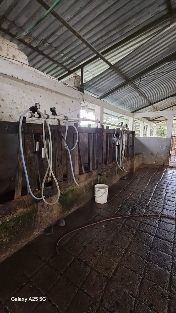 WhatsApp Image 2025-04-02 at 6.28.32 AM (3).webp