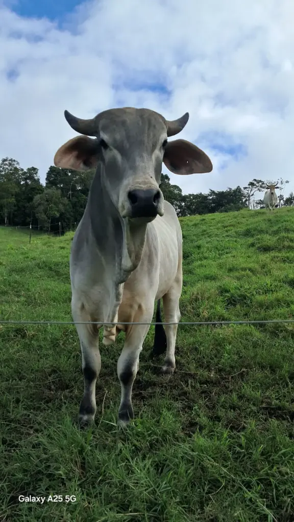 WhatsApp Image 2025-04-02 at 6.28.28 AM (2).webp