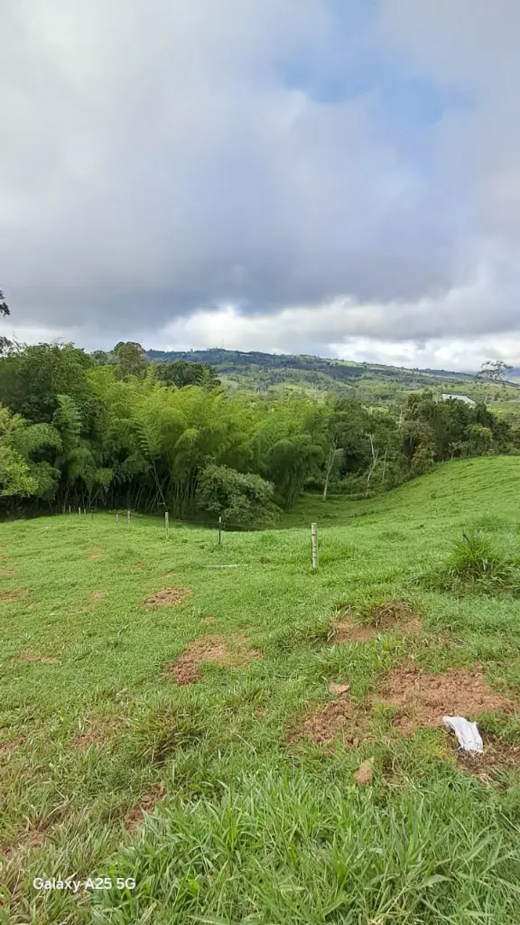 WhatsApp Image 2025-04-02 at 6.28.36 AM (1).webp