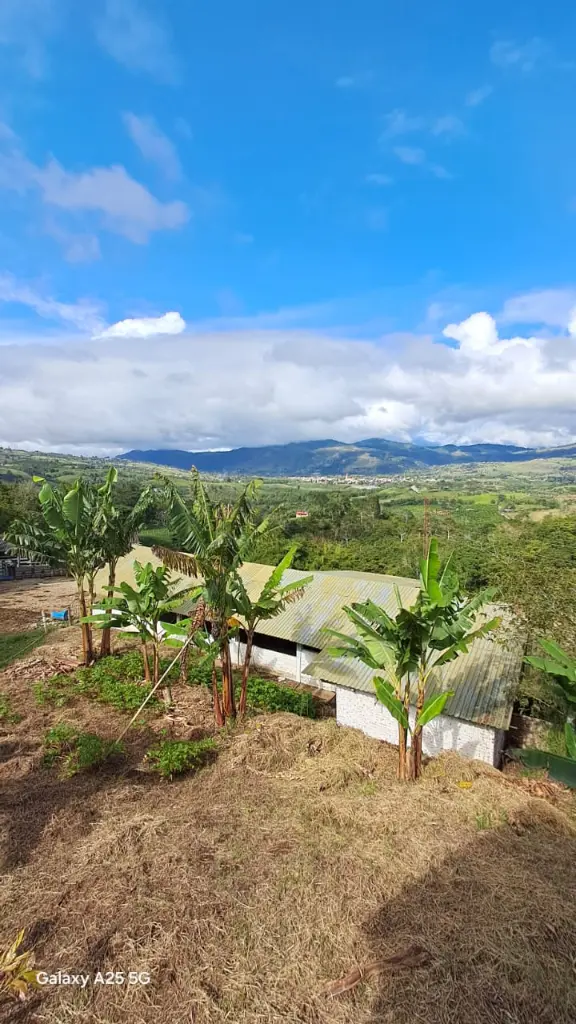 WhatsApp Image 2025-04-02 at 6.28.21 AM (4).webp