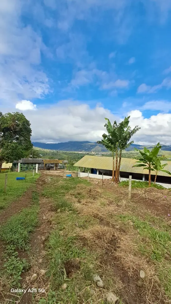 WhatsApp Image 2025-04-02 at 6.28.23 AM (2).webp