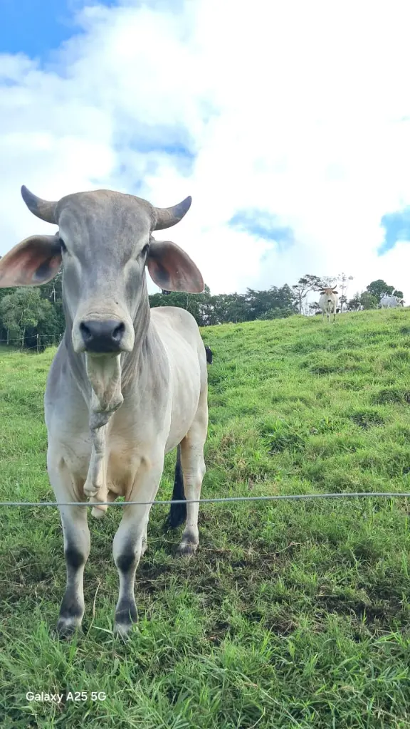 WhatsApp Image 2025-04-02 at 6.28.29 AM (4).webp