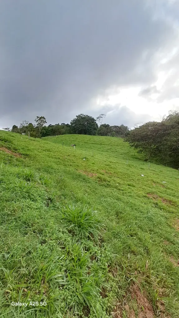 WhatsApp Image 2025-04-02 at 6.28.35 AM (3).webp