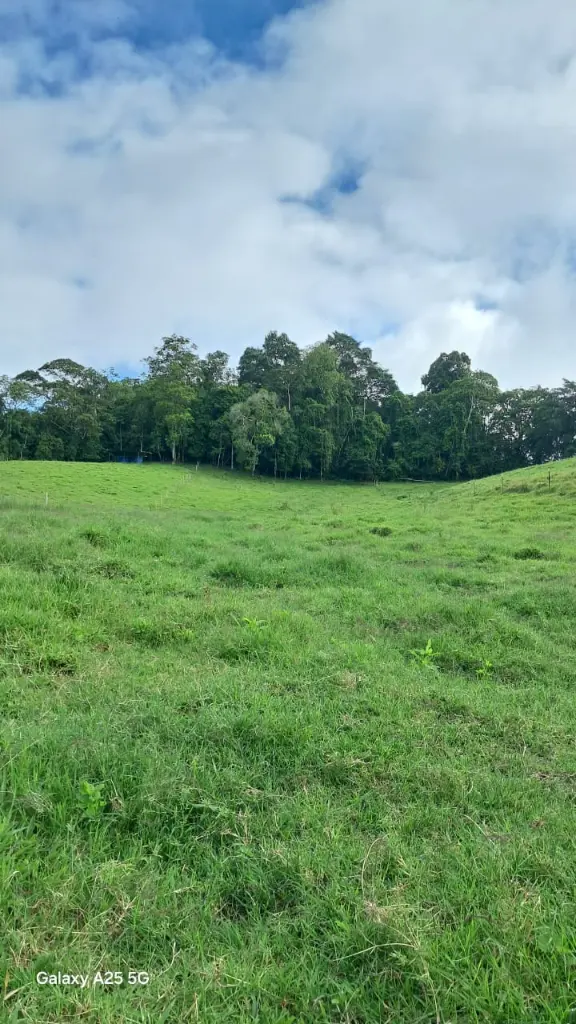 WhatsApp Image 2025-04-02 at 6.28.27 AM (1).webp