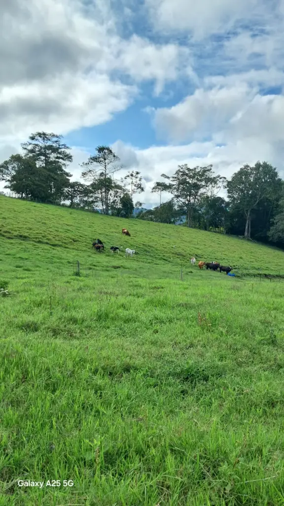 WhatsApp Image 2025-04-02 at 6.28.25 AM (3).webp