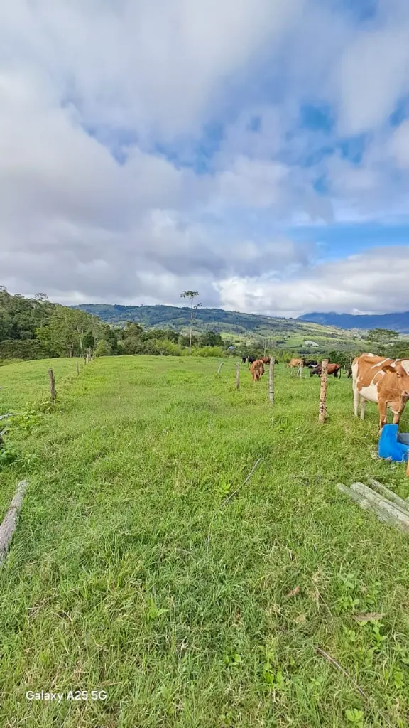 WhatsApp Image 2025-04-02 at 6.28.28 AM (1).webp