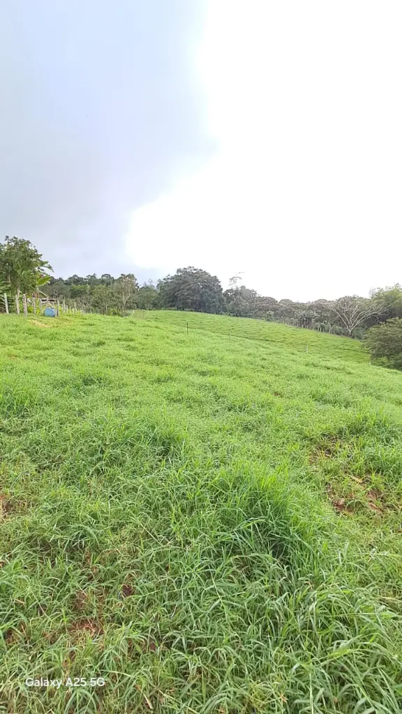 WhatsApp Image 2025-04-02 at 6.28.36 AM (2).webp