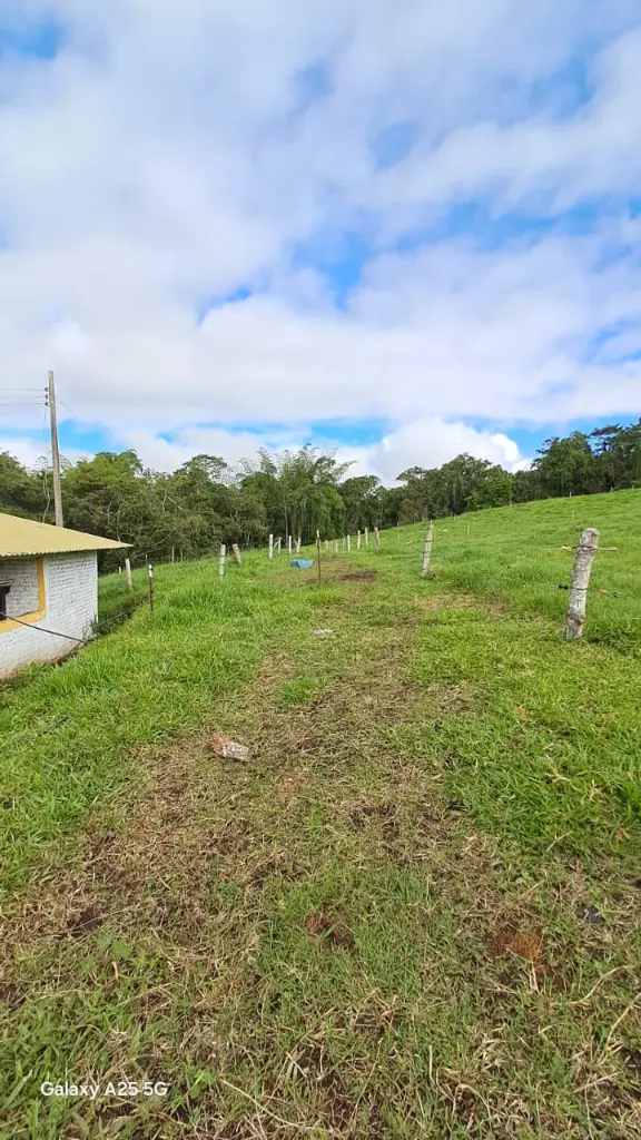 WhatsApp Image 2025-04-02 at 6.28.26 AM (1).webp