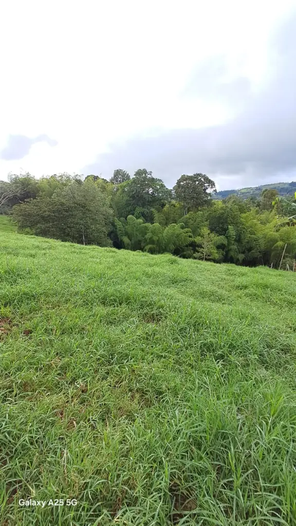 WhatsApp Image 2025-04-02 at 6.28.35 AM (2).webp