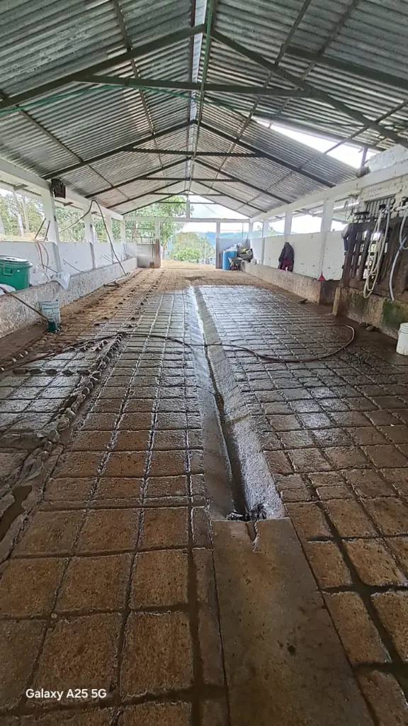 WhatsApp Image 2025-04-02 at 6.28.29 AM (3).webp