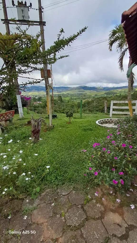 WhatsApp Image 2025-04-02 at 6.28.35 AM (1).webp