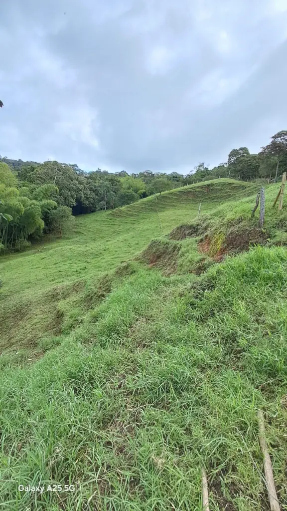 WhatsApp Image 2025-04-02 at 6.28.30 AM (4).webp