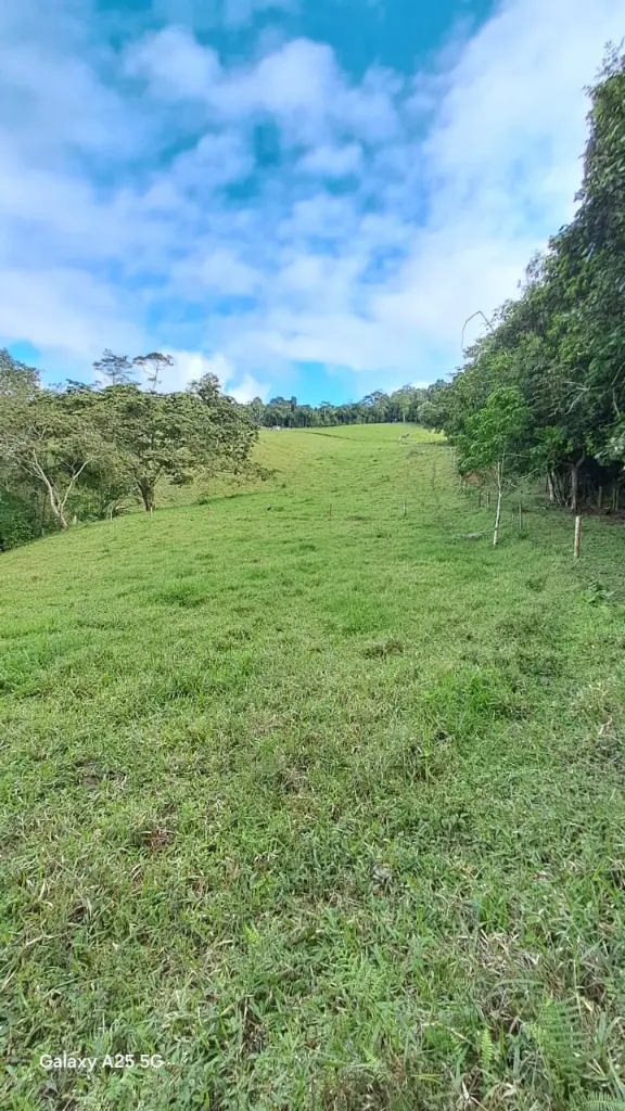 WhatsApp Image 2025-04-02 at 6.28.31 AM (1).webp