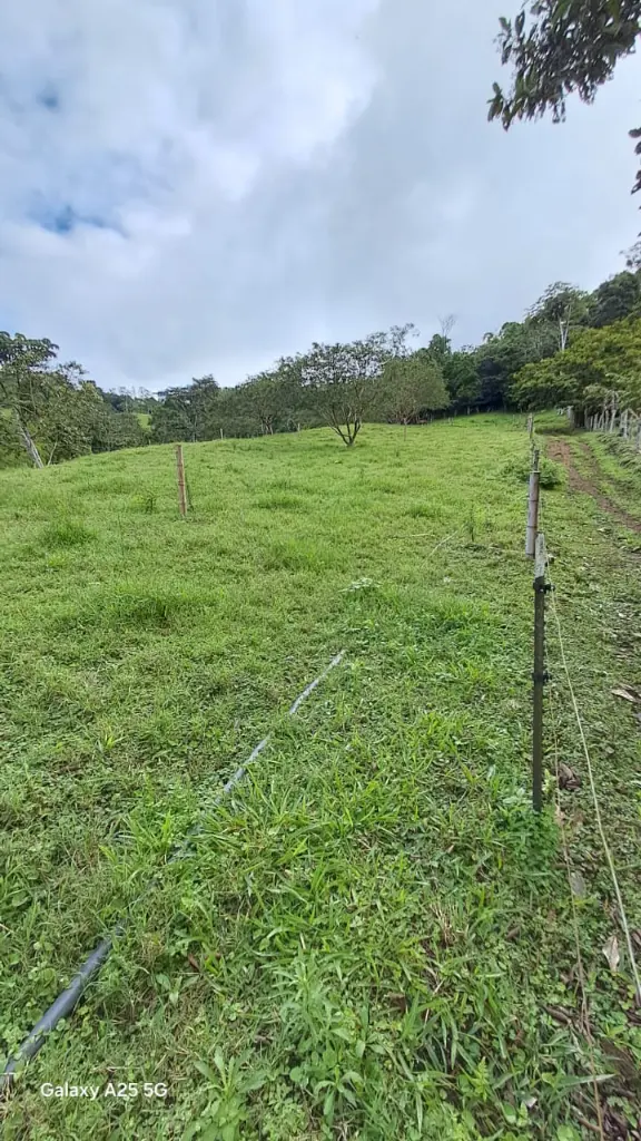 WhatsApp Image 2025-04-02 at 6.28.30 AM (1).webp