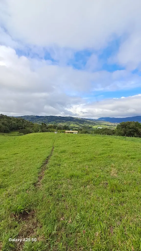 WhatsApp Image 2025-04-02 at 6.28.24 AM (3).webp