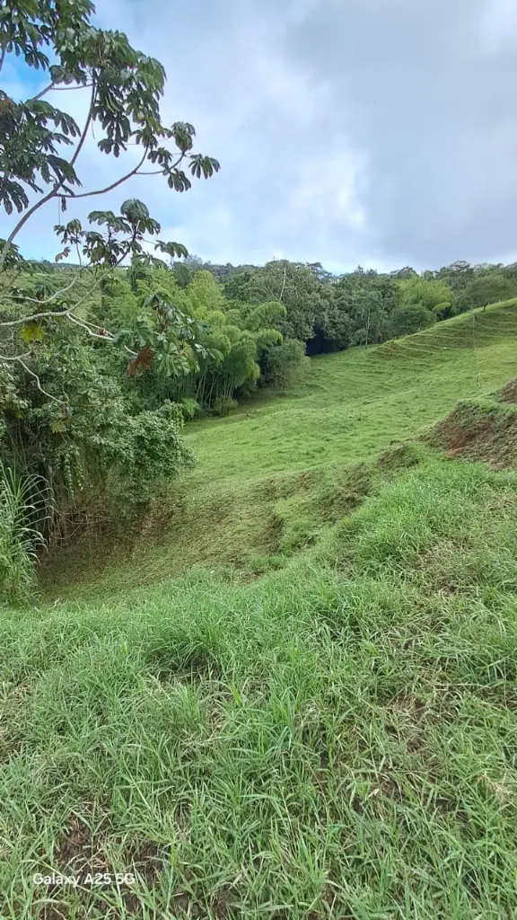 WhatsApp Image 2025-04-02 at 6.28.32 AM (2).webp