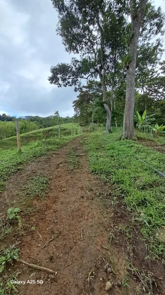 WhatsApp Image 2025-04-02 at 6.28.30 AM (2).webp