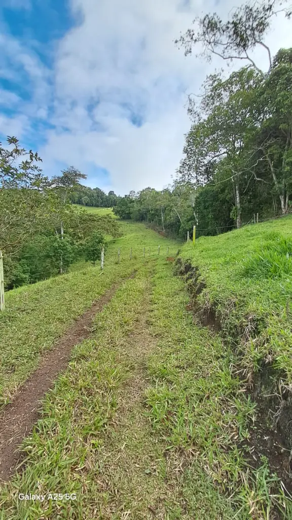 WhatsApp Image 2025-04-02 at 6.28.31 AM (3).webp