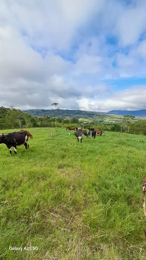 WhatsApp Image 2025-04-02 at 6.28.26 AM (3).webp