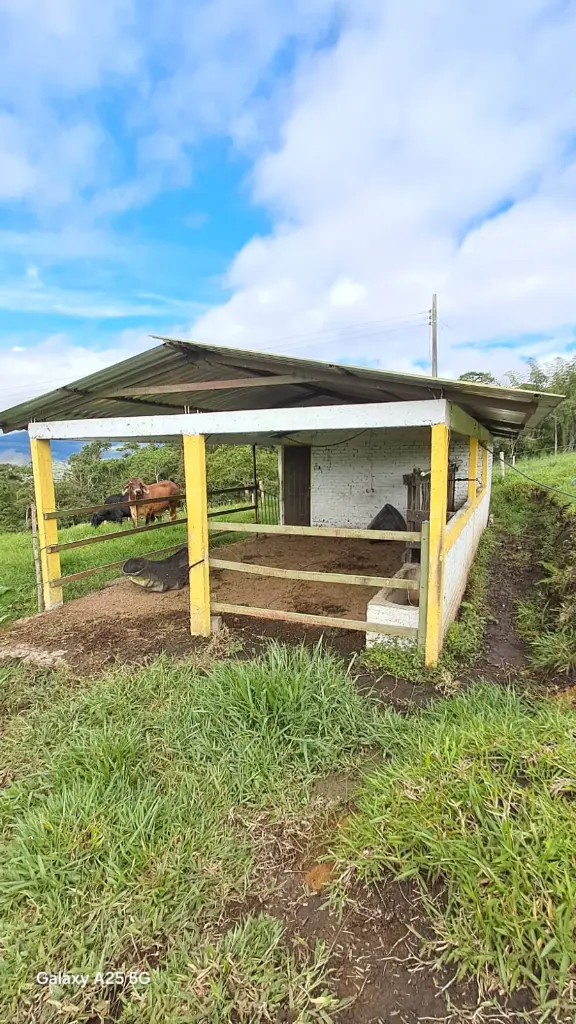 WhatsApp Image 2025-04-02 at 6.28.26 AM (2).webp