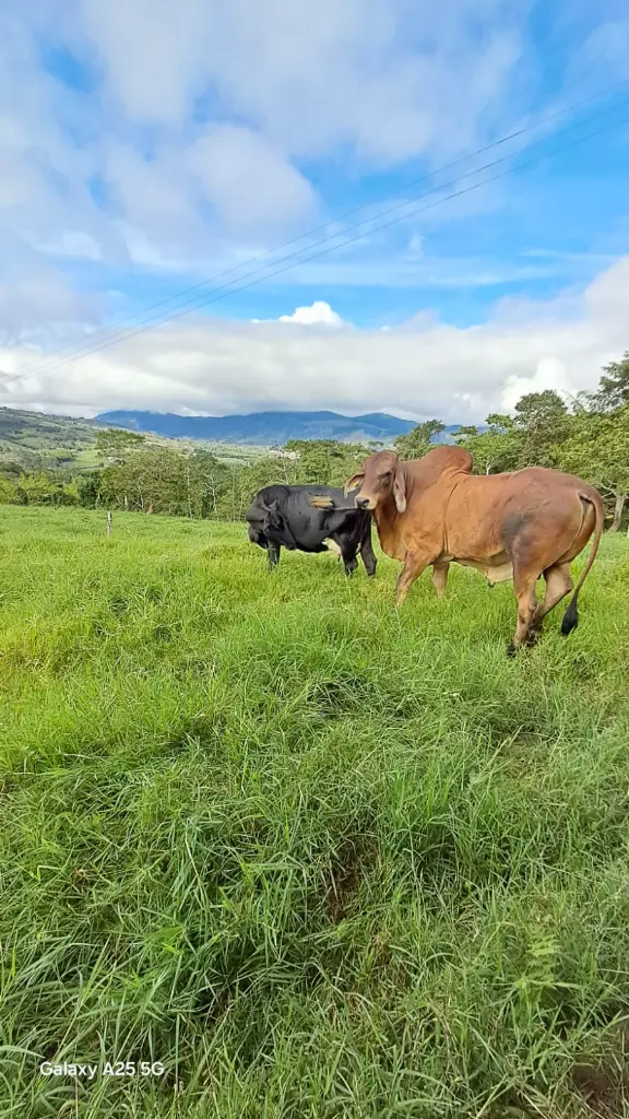 WhatsApp Image 2025-04-02 at 6.28.27 AM (2).webp