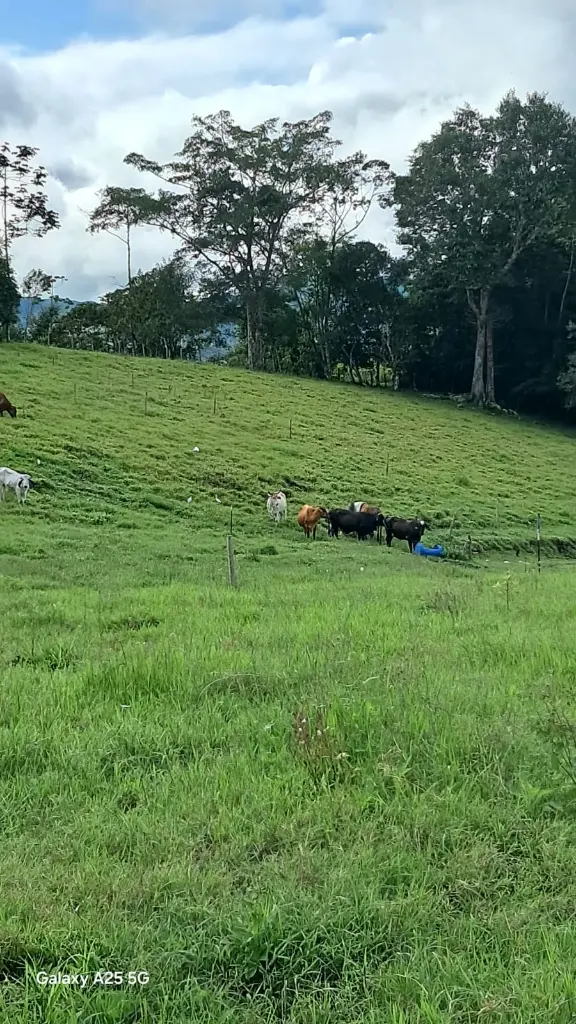 WhatsApp Image 2025-04-02 at 6.28.25 AM (1).webp