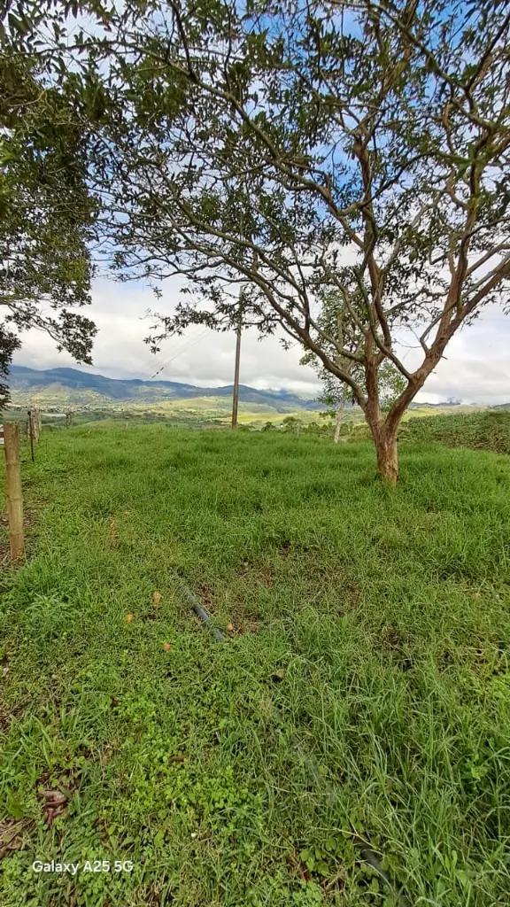 WhatsApp Image 2025-04-02 at 6.28.30 AM (3).webp