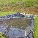 WhatsApp Image 2025-04-02 at 6.29.11 AM (2).webp