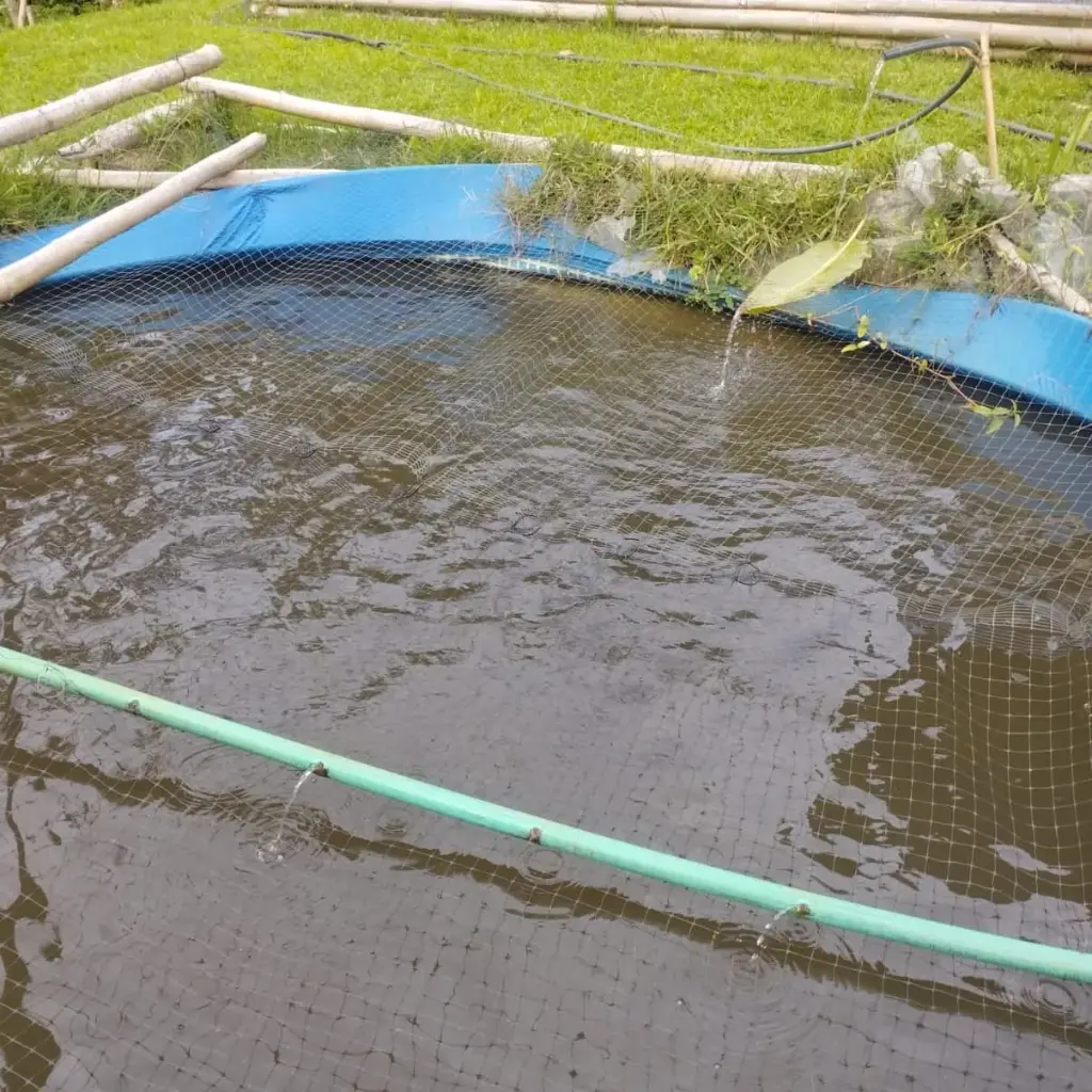 WhatsApp Image 2025-04-02 at 6.29.11 AM (1).webp