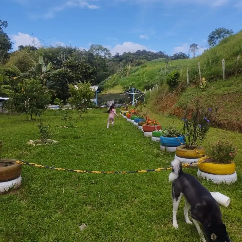 WhatsApp Image 2025-04-02 at 6.29.11 AM (3).webp