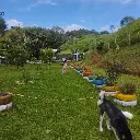 WhatsApp Image 2025-04-02 at 6.29.11 AM (3).webp